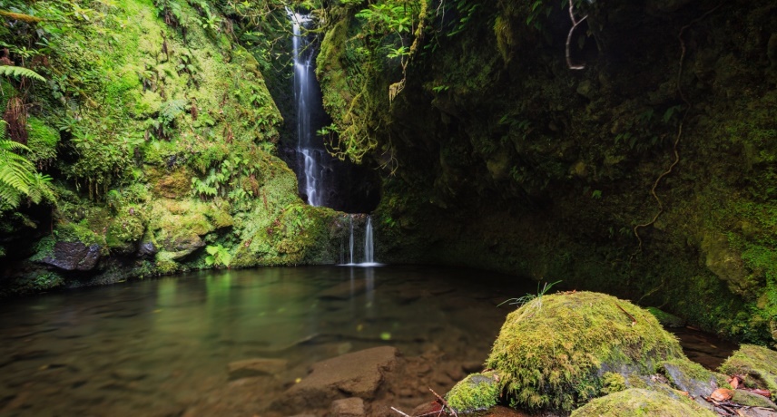 11 Top Best Swimming Holes in Madeira Island- Poço das Pulgas- Francisco Gonçaslves